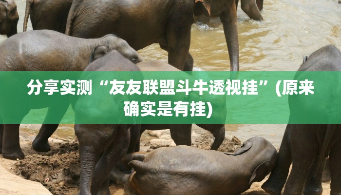 分享实测“友友联盟斗牛透视挂”(原来确实是有挂) 分享实测“友友联盟斗牛透视挂”(原来确实是有挂)