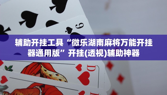 辅助开挂工具“微乐湖南麻将万能开挂器通用版”开挂(透视)辅助神器 辅助开挂工具“微乐湖南麻将万能开挂器通用版”开挂(透视)辅助神器