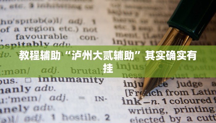 教程辅助“泸州大贰辅助”其实确实有挂