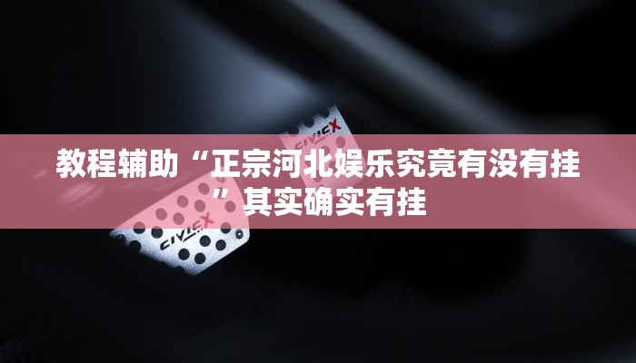教程辅助“正宗河北娱乐究竟有没有挂”其实确实有挂
