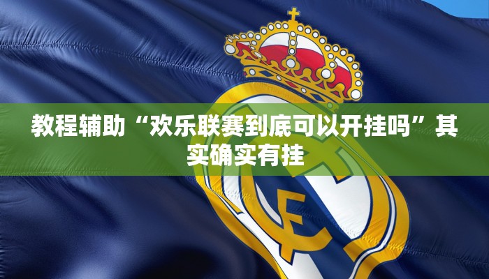 教程辅助“欢乐联赛到底可以开挂吗”其实确实有挂