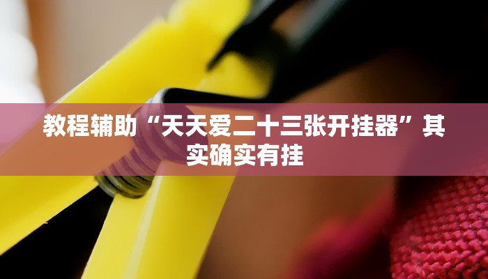 教程辅助“天天爱二十三张开挂器”其实确实有挂