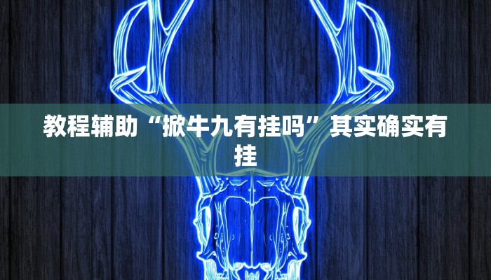 教程辅助“掀牛九有挂吗”其实确实有挂