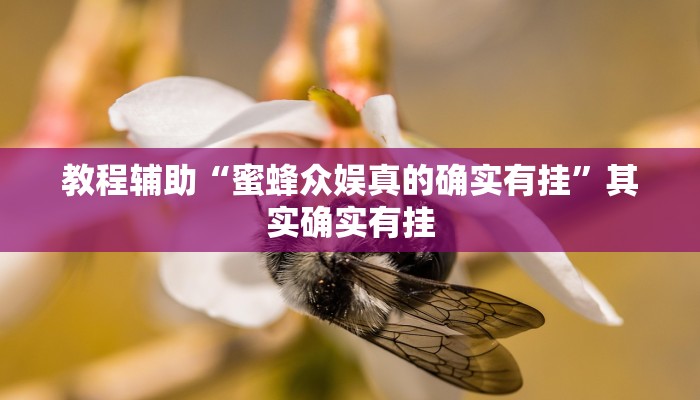 教程辅助“蜜蜂众娱真的确实有挂”其实确实有挂