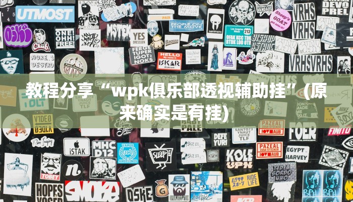 教程分享“wpk俱乐部透视辅助挂”(原来确实是有挂) 
