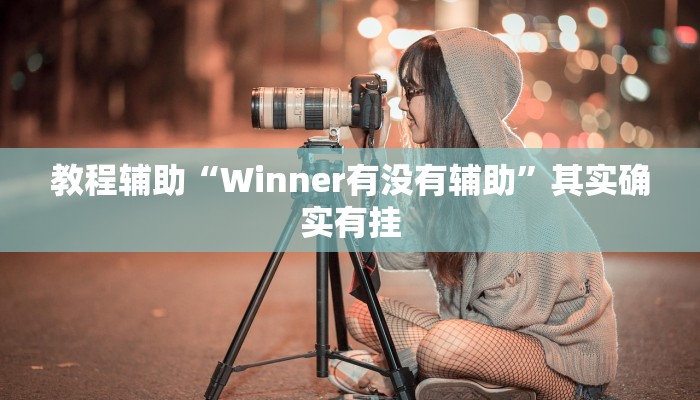 教程辅助“Winner有没有辅助”其实确实有挂