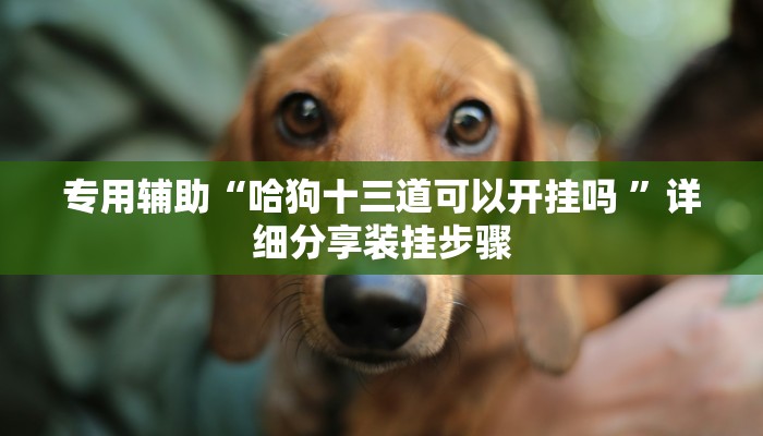 专用辅助“哈狗十三道可以开挂吗 ”详细分享装挂步骤