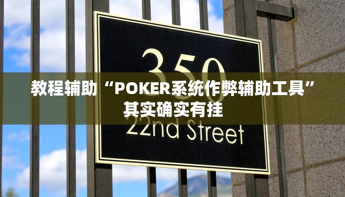 教程辅助“POKER系统作弊辅助工具”其实确实有挂