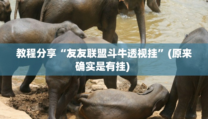 教程分享“友友联盟斗牛透视挂”(原来确实是有挂) 