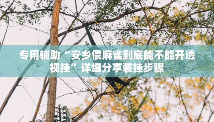 专用辅助“安乡偎麻雀到底能不能开透视挂”详细分享装挂步骤 专用辅助“安乡偎麻雀到底能不能开透视挂”详细分享装挂步骤