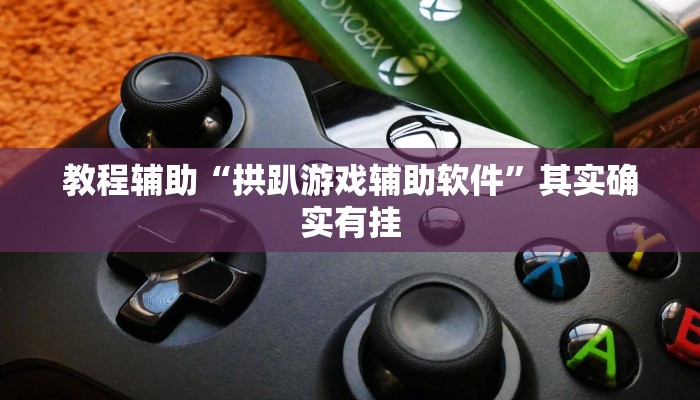 教程辅助“拱趴游戏辅助软件”其实确实有挂