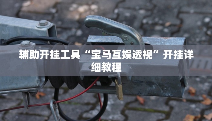 辅助开挂工具“宝马互娱透视”开挂详细教程