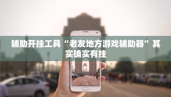辅助开挂工具“老友地方游戏辅助器”其实确实有挂