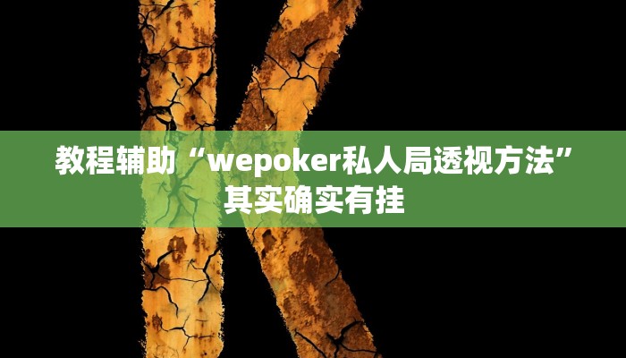 教程辅助“wepoker私人局透视方法”其实确实有挂