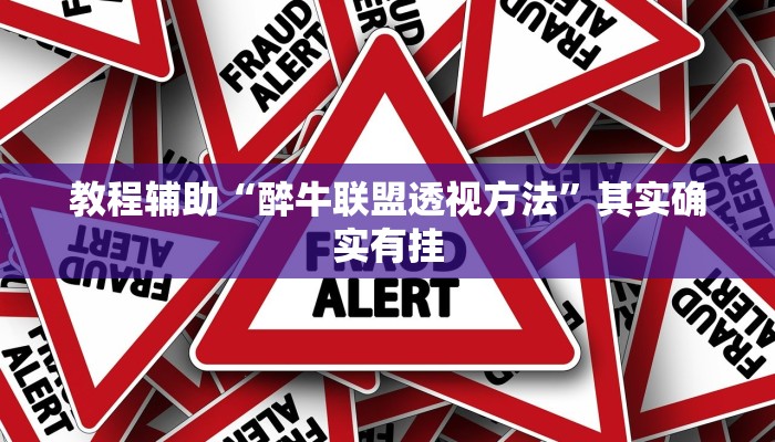 教程辅助“醉牛联盟透视方法”其实确实有挂