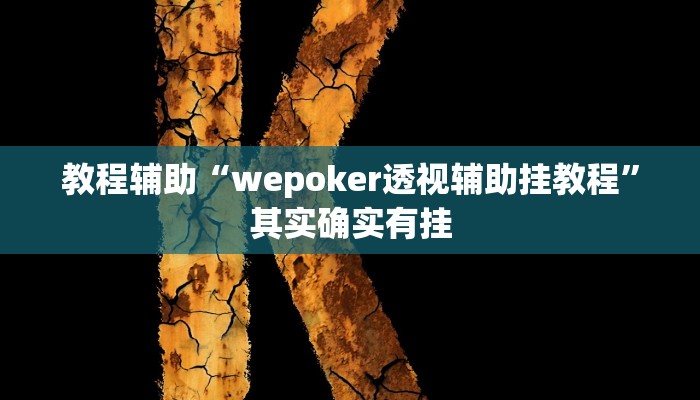 教程辅助“wepoker透视辅助挂教程”其实确实有挂