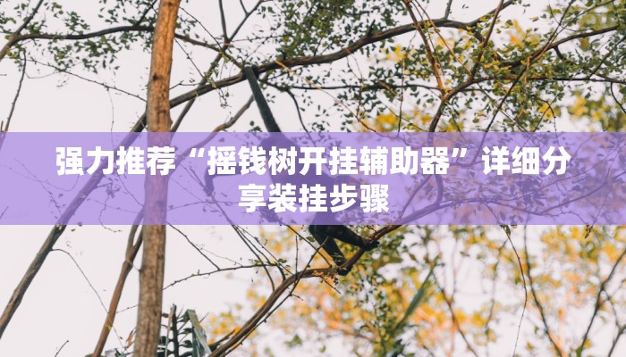 强力推荐“摇钱树开挂辅助器”详细分享装挂步骤