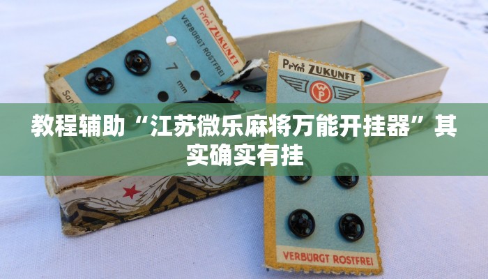 教程辅助“江苏微乐麻将万能开挂器”其实确实有挂