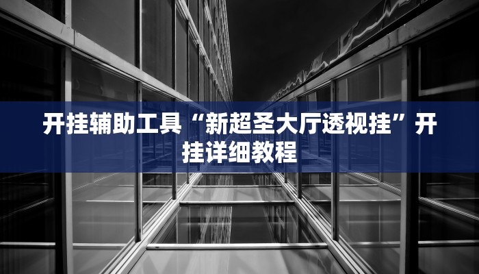 开挂辅助工具“新超圣大厅透视挂”开挂详细教程