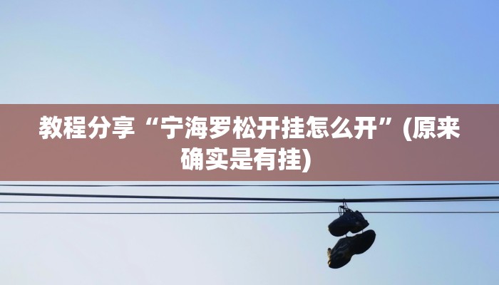 教程分享“宁海罗松开挂怎么开”(原来确实是有挂) 