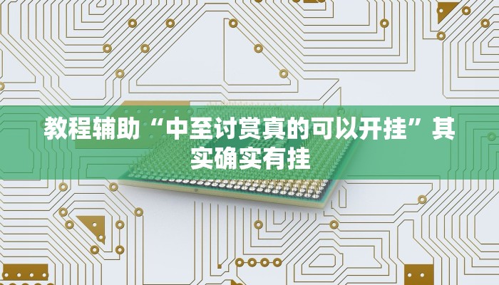 教程辅助“中至讨赏真的可以开挂”其实确实有挂