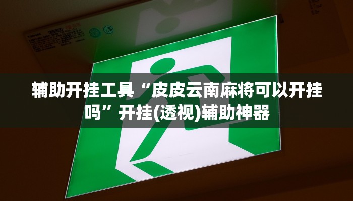 辅助开挂工具“皮皮云南麻将可以开挂吗”开挂(透视)辅助神器