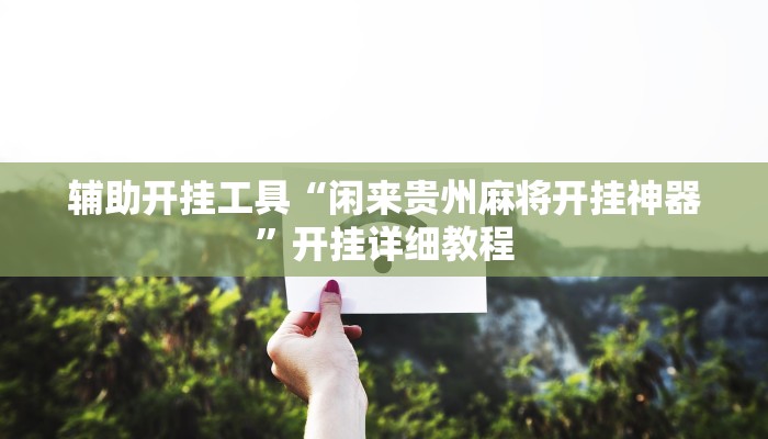 辅助开挂工具“闲来贵州麻将开挂神器”开挂详细教程