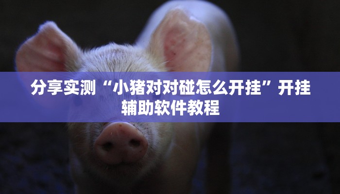 分享实测“小猪对对碰怎么开挂”开挂辅助软件教程