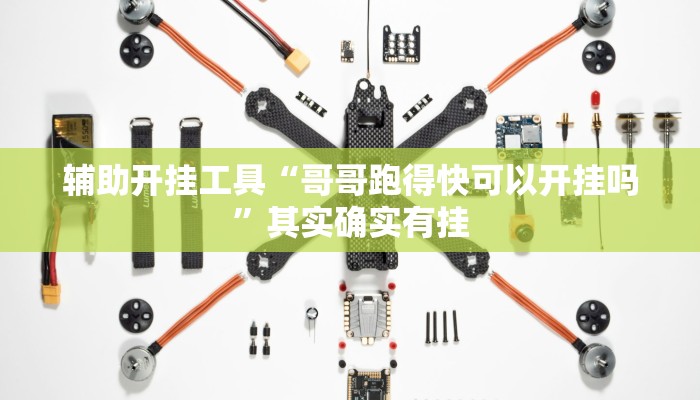 辅助开挂工具“哥哥跑得快可以开挂吗”其实确实有挂