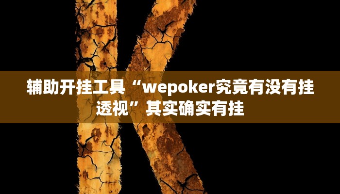 辅助开挂工具“wepoker究竟有没有挂透视”其实确实有挂