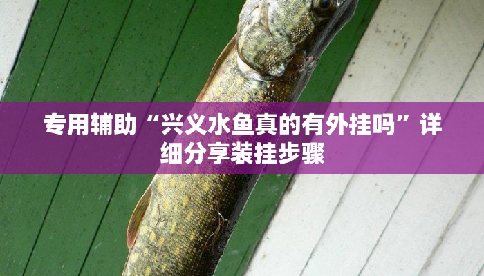 专用辅助“兴义水鱼真的有外挂吗”详细分享装挂步骤