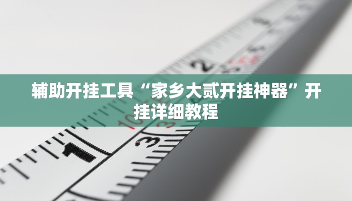 辅助开挂工具“家乡大贰开挂神器”开挂详细教程