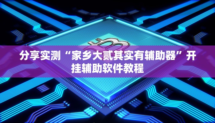 分享实测“家乡大贰其实有辅助器”开挂辅助软件教程