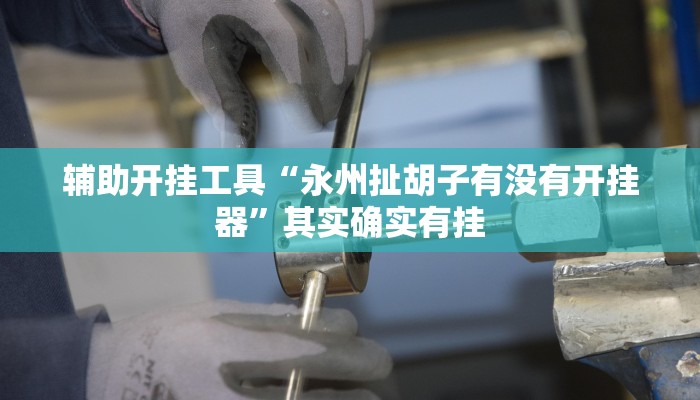 辅助开挂工具“永州扯胡子有没有开挂器”其实确实有挂