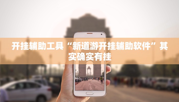 开挂辅助工具“新道游开挂辅助软件”其实确实有挂