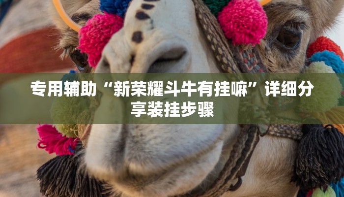 专用辅助“新荣耀斗牛有挂嘛”详细分享装挂步骤