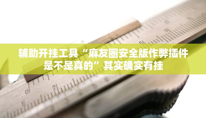 辅助开挂工具“麻友圈安全版作弊插件是不是真的”其实确实有挂