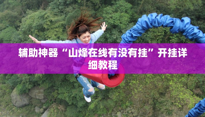 辅助神器“山烽在线有没有挂”开挂详细教程