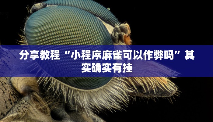 分享教程“小程序麻雀可以作弊吗”其实确实有挂