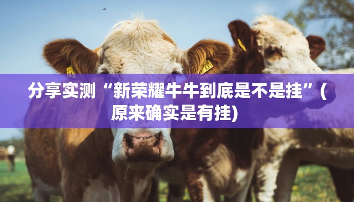 分享实测“新荣耀牛牛到底是不是挂”(原来确实是有挂) 