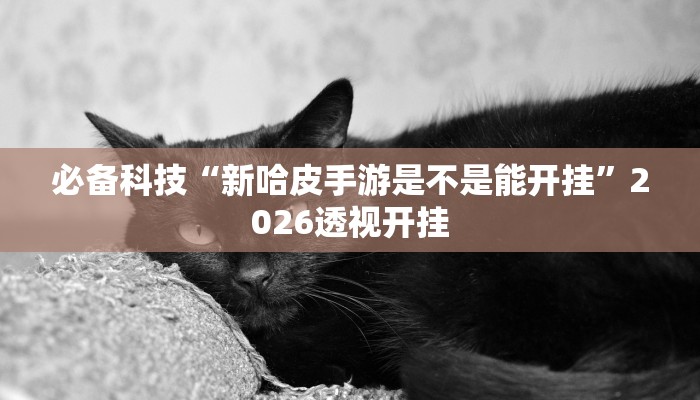 必备科技“新哈皮手游是不是能开挂”2026透视开挂