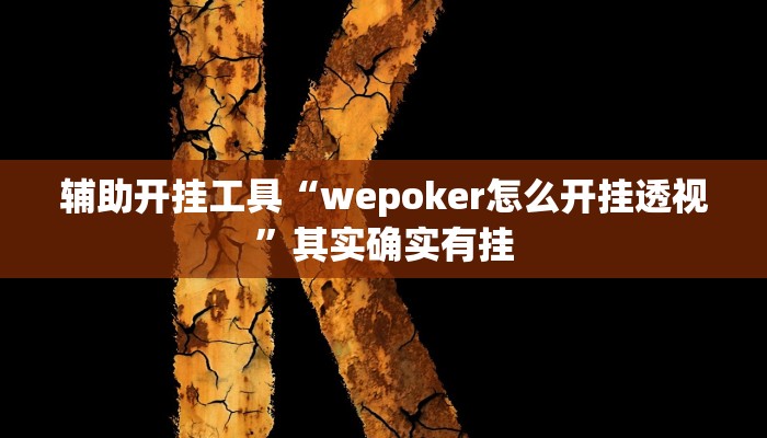 辅助开挂工具“wepoker怎么开挂透视”其实确实有挂