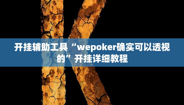 开挂辅助工具“wepoker确实可以透视的”开挂详细教程