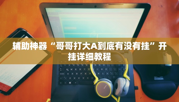 辅助神器“哥哥打大A到底有没有挂”开挂详细教程