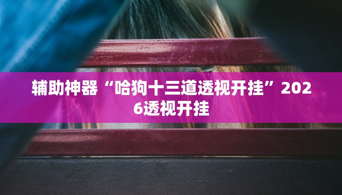 辅助神器“哈狗十三道透视开挂”2026透视开挂