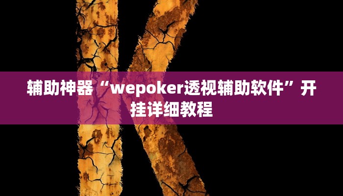 辅助神器“wepoker透视辅助软件”开挂详细教程