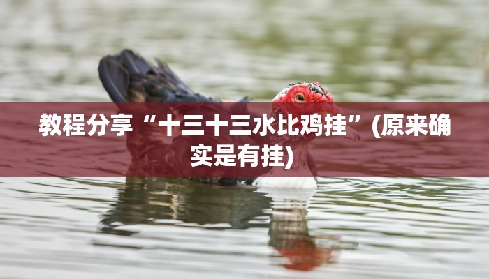 教程分享“十三十三水比鸡挂”(原来确实是有挂) 