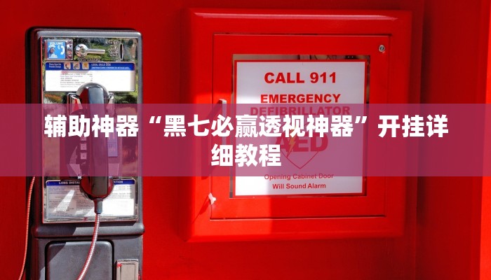 辅助神器“黑七必赢透视神器”开挂详细教程