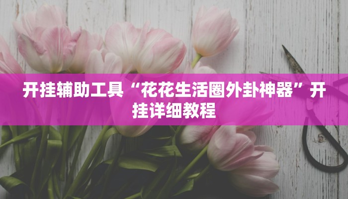 开挂辅助工具“花花生活圈外卦神器”开挂详细教程
