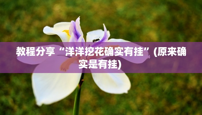 教程分享“洋洋挖花确实有挂”(原来确实是有挂) 